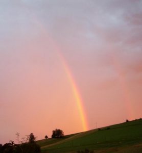 ein Regenbogen als natürliches Symbol der Vielfalt des Lebens